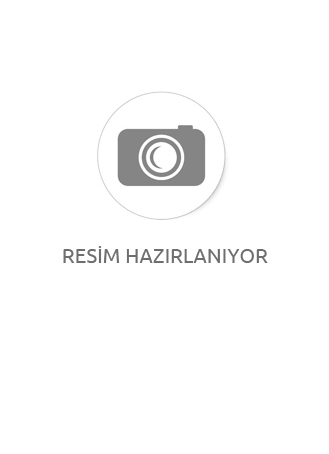 Ebmpapst 23030-41012 KABLOSU Yüksek Performanslı Endüstriyel Fan